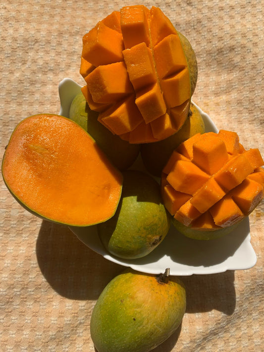 Jumbo Size (240gms - 280gms) Authentic Alphonso Mango